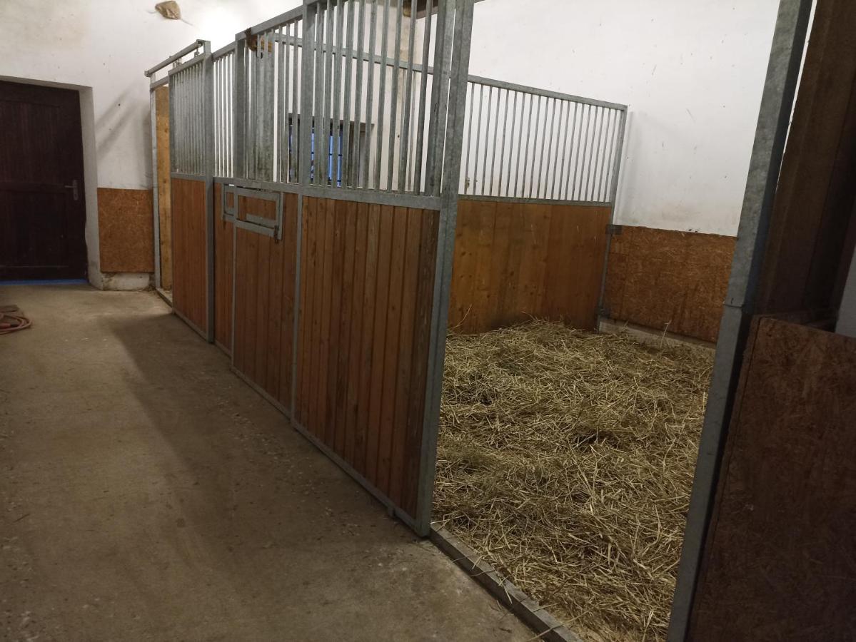 Statek Stranovice Apartman Malenitz Kültér fotó